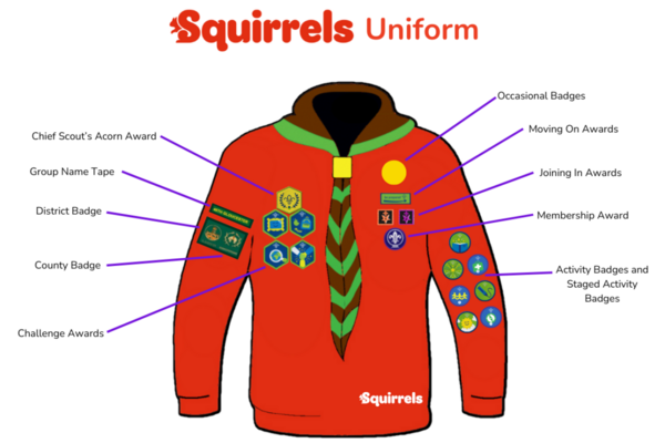 squirrels_unform_1110x740
